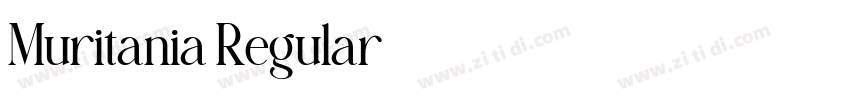 Muritania Regular字体转换